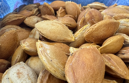 Türkiye'de Başka Örneği yok! Kayısı Çekirdeği Kabuğundan üretildi...