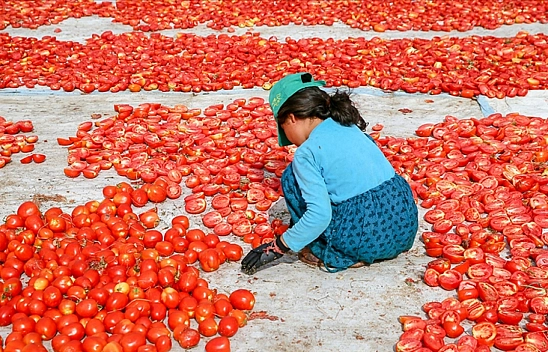 Türkiye'de tablo vahim! Malatya da Tehlikede!