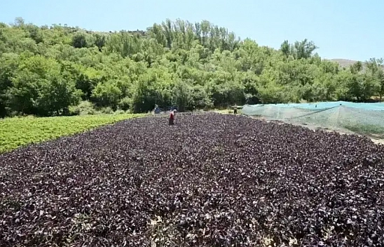 Türkiye'nin huzur veren ilçeleri belli oldu: Listede Malatya'dan da bir ilçe var