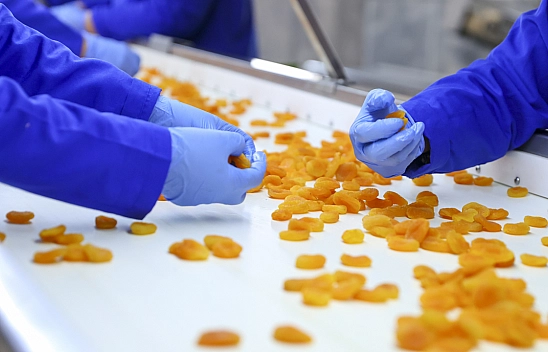 Kayısıda fiyat skandalı: Üreticinin kazancını kim yiyor?