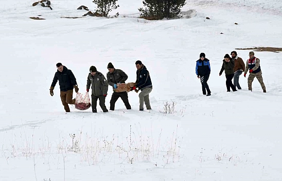 Yaban hayatı için araziye yem bırakıldı