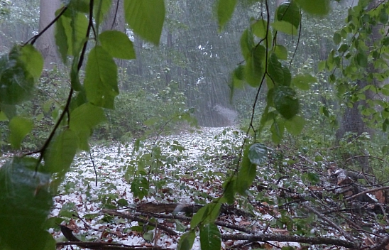 Yağmur Malatya'yı terk etmiyor! Gök gürültülü sağanak yağış bekleniyor....