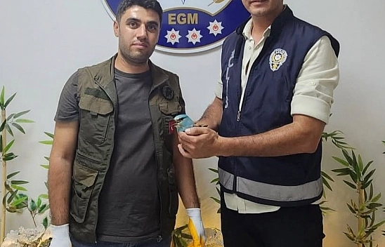 Yaralı gökkuzgun koruma altına alındı