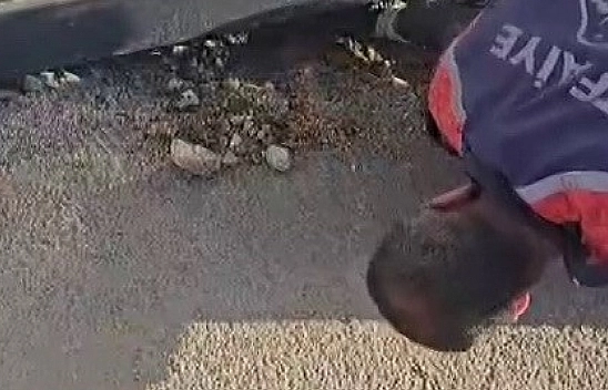 Yavru köpek itfaiye tarafından kurtarıldı