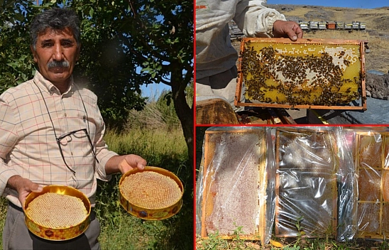 Malatya'da bal sezonu başladı: Fiyatlar belli oldu!