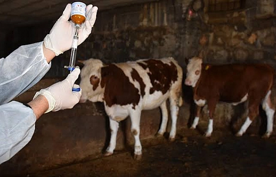 Yetiştiricilere müjde: Artık ücret alınmayacak!