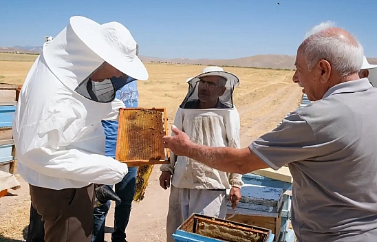 Yılda 1 Ton 200 Kilogram Üretiliyor! Bakanlık Destek Sunuyor... Bol Bol Tüketilmesi Tavsiye Ediliyor...