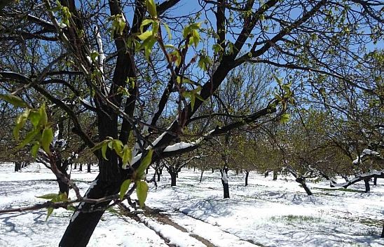 Don vurdu, Hasar büyük: Malatya'da 300'ün üzerinde eksper sahada