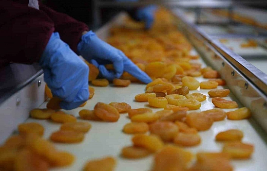 AB tescilli Malatya kayısısı raflarındaki yerini korumaya çalışıyor