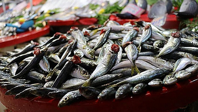 Balıklar tezgahları süsledi
