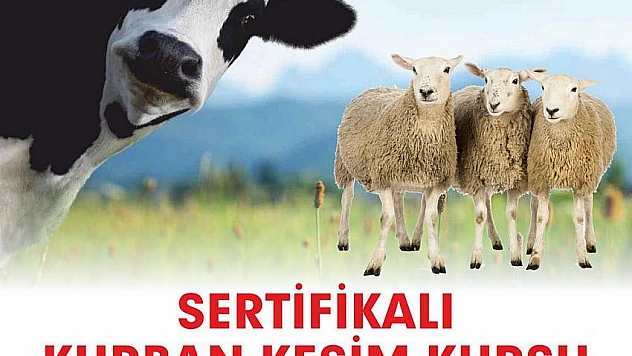 Büyükşehirden kurban kesim kursu 