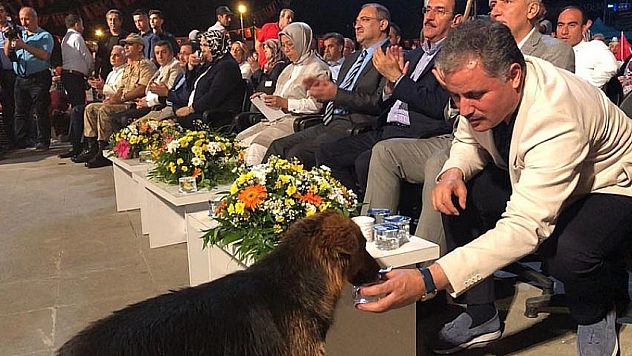 Takdir topladı 