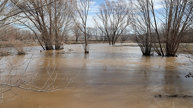 10 bin dönüm ekili tarım arazisi su altında kaldı