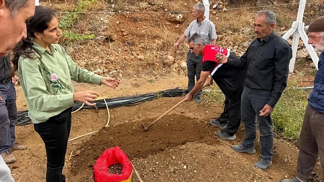 10 üreticiye 90 kilogram salep yumrusu dağıtıldı