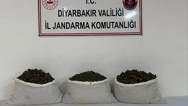 107 kilo esrar maddesi ele geçirildi