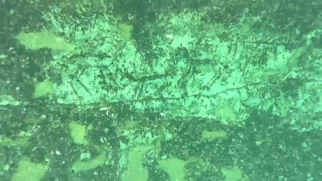 12 bin yıllık av sahnesi su altında görüntülendi