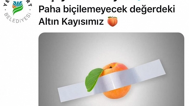 Muza kayısılı gönderme