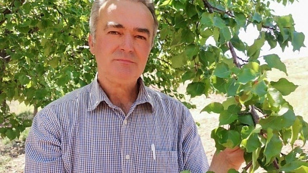 Kayısı rekoltesine itirazlar sürüyor