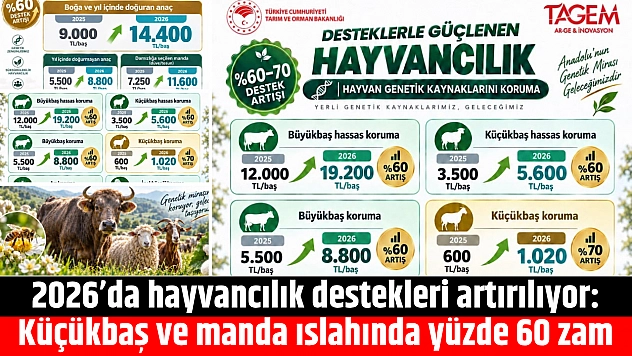 2026'da hayvancılık destekleri artırılıyor: Küçükbaş ve manda ıslahında yüzde 60 zam
