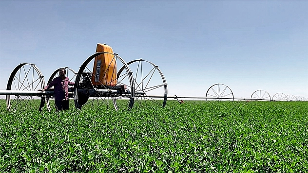 2026'da kırsal kalkınma hareketi! Aile işletmelerine yeni teşvikler yolda...