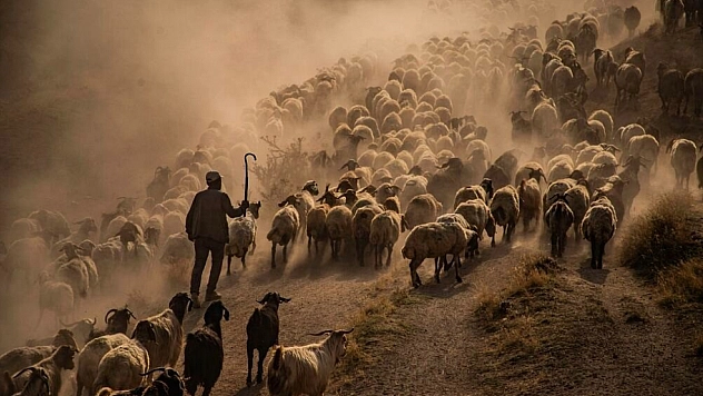 2026 Hevsel Kupası fotoğraf yarışması sonuçları açıklandı