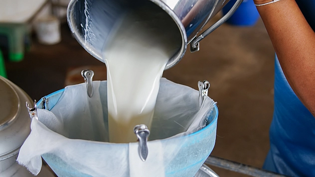 24,30 TL'lik fiyat tabelada kaldı: Malatya'da üreticiler dertli