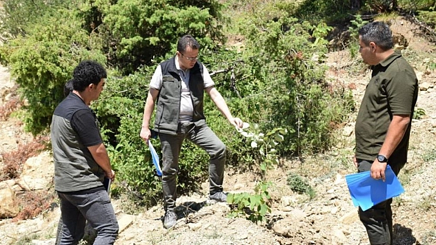 3 yılda binlerce fidan toprakla buluştu