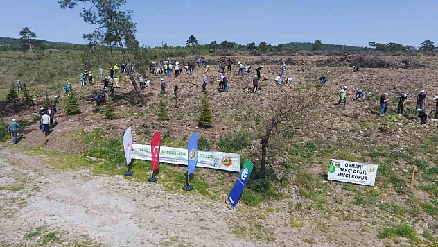 Balıkesir'de 30 bin fidan toprakla buluştu