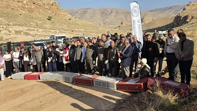 300 keklik doğaya salındı