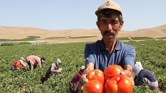 4 TL'ye satıp 20 TL'ye alıyor