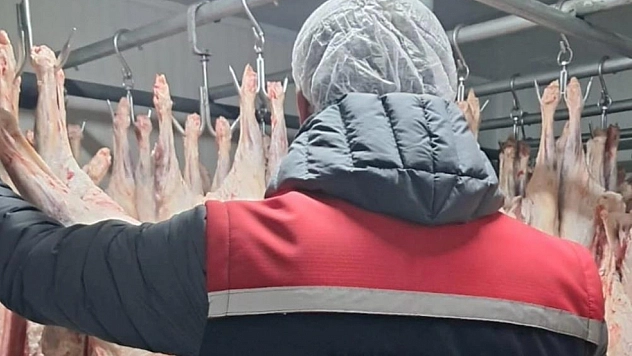 494 işletmeye denetim yapıldı