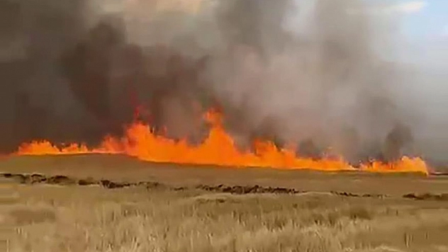 5 bin dönüm ekili buğday tarlası alevlere teslim oldu