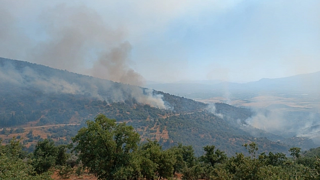 5 bin dönümlük alan küle döndü!