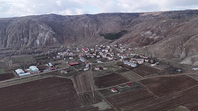 5 fidanla başladı, 3 bin ağaca ulaştı