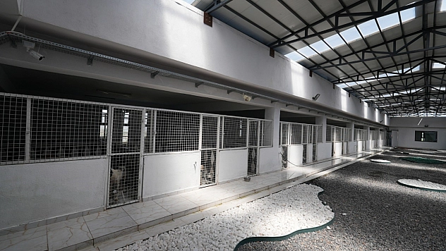 500 hayvan kapasiteli yeni barınak