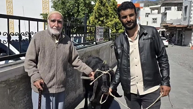 70 kiloluk keçi 36 bin liraya satıldı