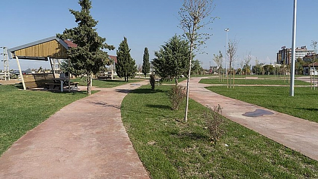 65 bin fidan dikildi 