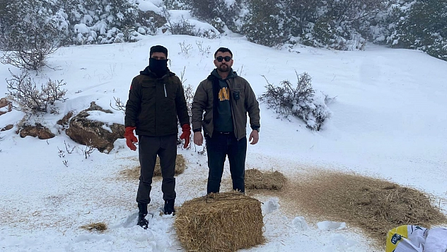 Aç kalan yaban hayvanları için doğaya yem bırakıldı