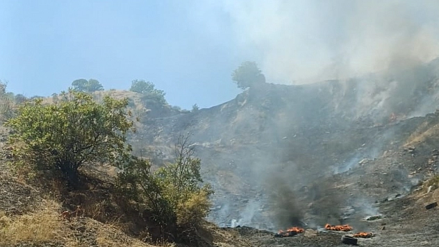 Adıyaman-Malatya karayolunda 1 hektarlık orman küle döndü