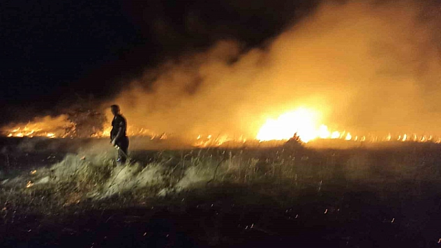 Malatya'da bahçe ve sazlık yangını: 25 Kayısı ağacı zarar gördü