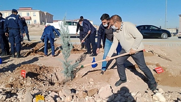Akçadağ'da bin fidan dikildi
