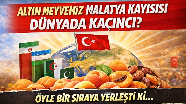Altın meyvemiz Malatya kayısısı Dünyada kaçıncı? 4 Ülkeyi ezdi geçti! Öyle bir sıraya yerleşti ki...