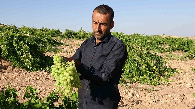 Kayısıya rakip çıktı: Malatya'nın unutulan lezzeti kapış kapış satılıyor!