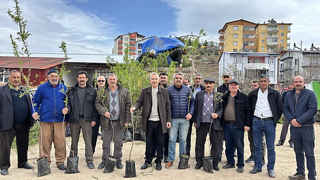 Malatya'da badem fidanı dağıtımı başladı! Çiftçilere 30 bin fidan müjdesi