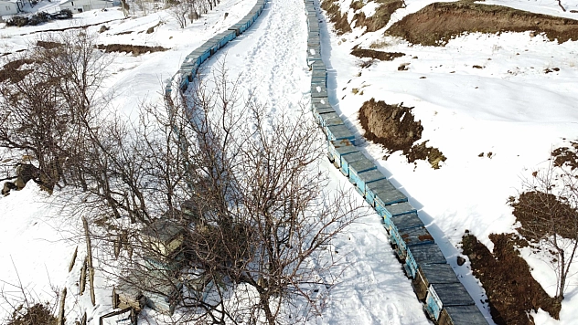 Arıcı ve besiciler yaralarını devlet desteğiyle sardı