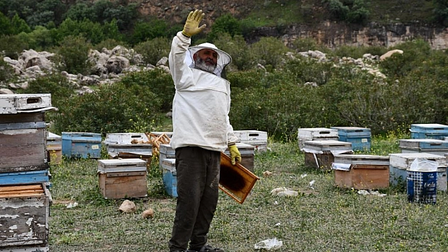 Arıcılar doğal bal için yollarda