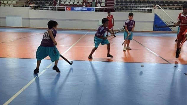 Hokey Ligi başladı