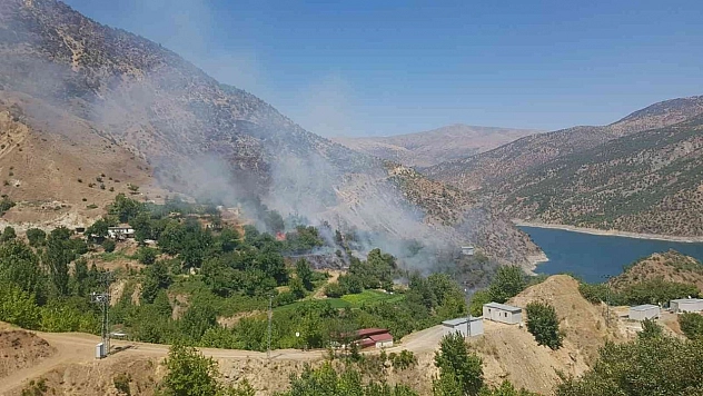 Sıcaklar yangına sebep oluyor