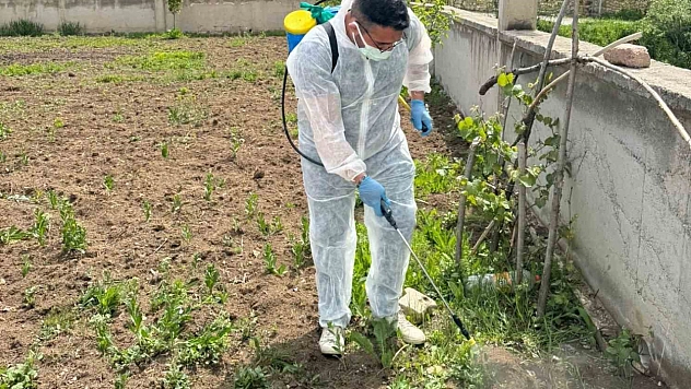 Aydıntepe'de yabancı ot mücadelesi başlatıldı