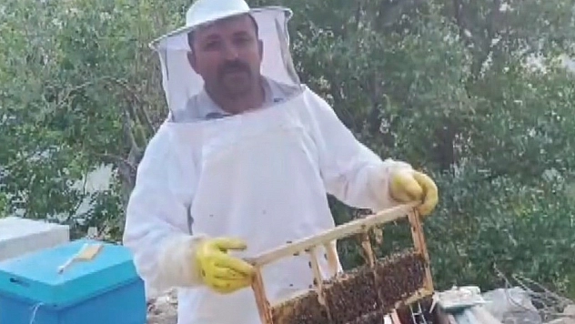Ayı kovanları parçalayıp balı yedi